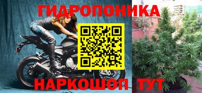 сатива Магнитогорск