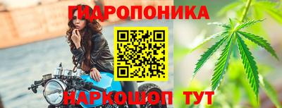 a pvp Лесной