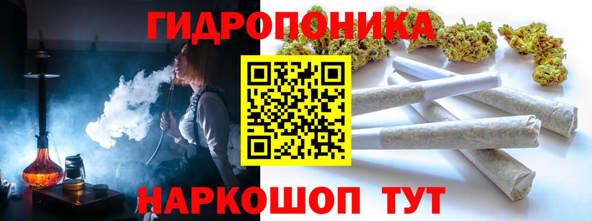 Марихуана сатива Ачхой-Мартан